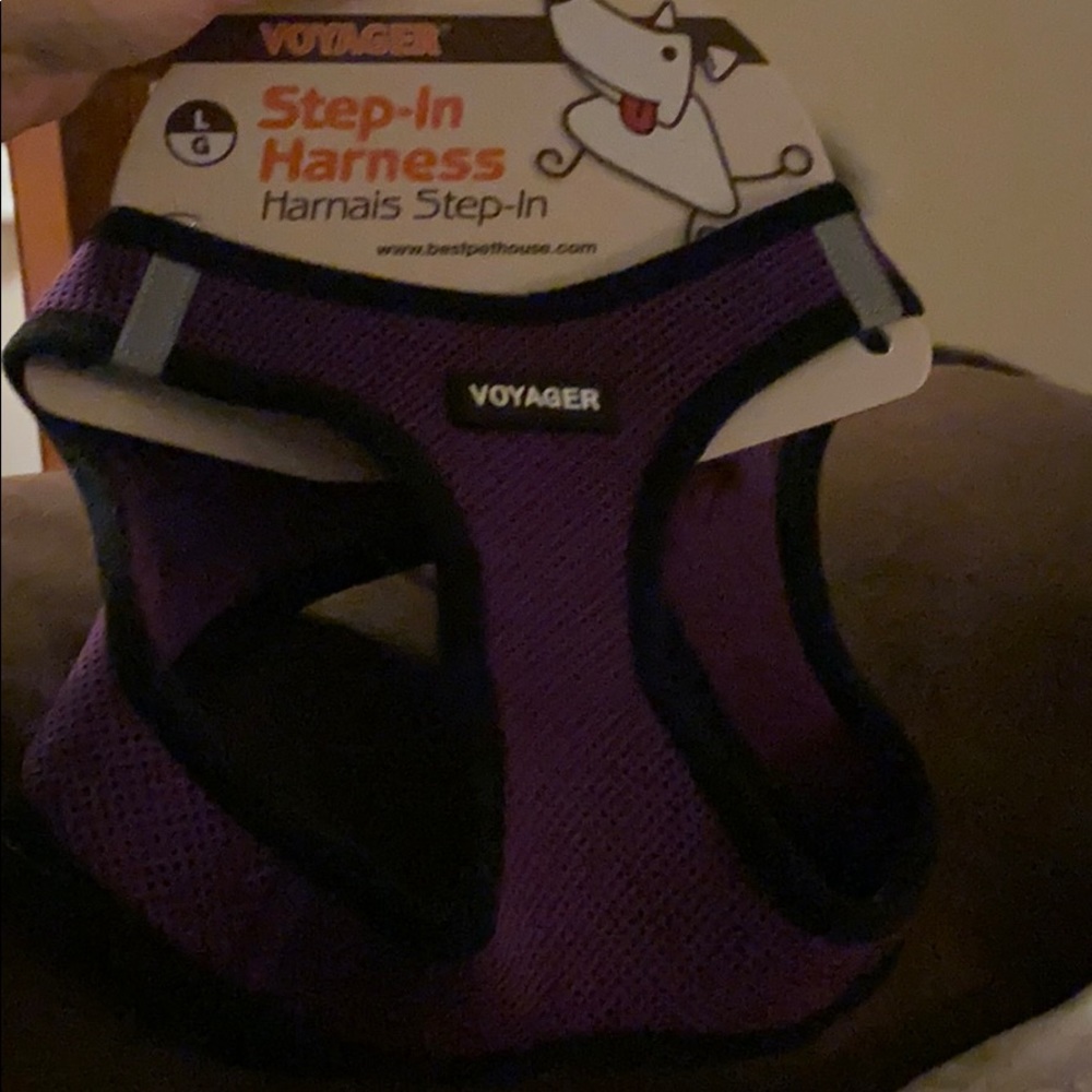 Harness